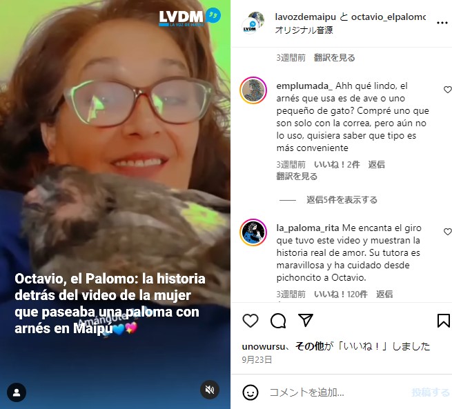 オクタヴィオとロレートさんはいつでも一緒で、深い絆で結ばれている（『La Voz De Maipú　Instagram「Te presentamos a ＠octavio_elpalomo」』より）