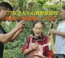 【海外発！Breaking News】イノシシに襲われた77歳女性、鎌で撃退「勇敢なカンフーばあちゃん」と話題に（中国）＜動画あり＞