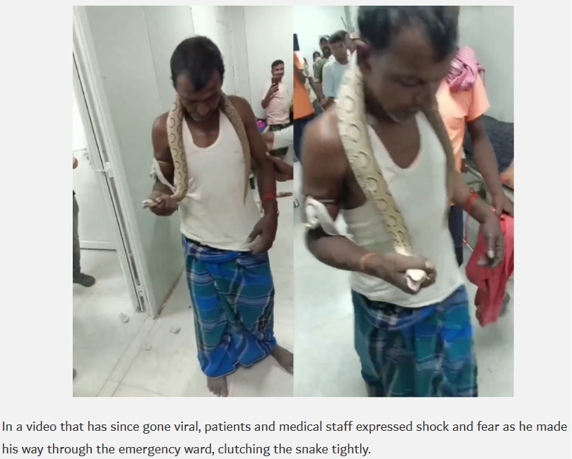 首にヘビを巻き付けたプラカシュさんは、ヘビの首をしっかりと掴んでいた（『Wake Up Singapore　「Indian Man Walks Into Hospital Holding Snake That Bit Him」』より）