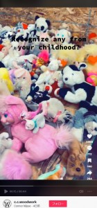 壁から取り除かれたぬいぐるみの数は「110個」だった（『Connor Nijsse　「Part 2 - 110 stuffed animals used as insulation」』より）